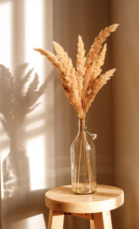 Close-up of plant in vase on table against wall