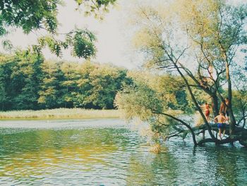 Reflection of trees in lake