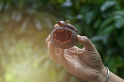 Close-up of hand holding strawberry