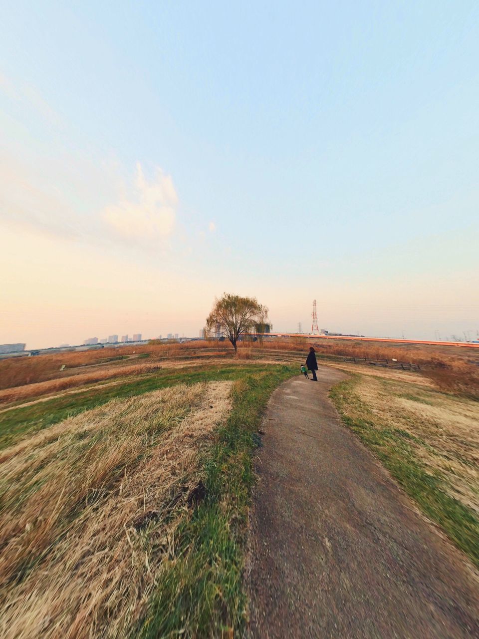 landscape, field, grass, tranquil scene, tranquility, sky, the way forward, rural scene, scenics, nature, dirt road, men, rear view, walking, beauty in nature, lifestyles, copy space, horizon over land