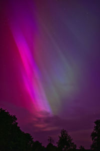Low angle view of silhouette trees against sky at night