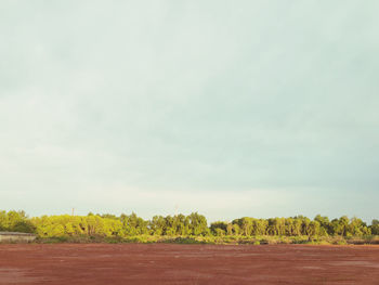 Trees on field against sky