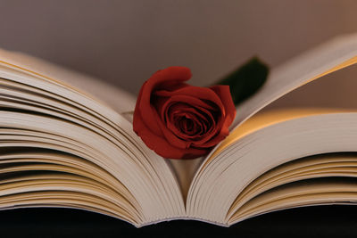 Close-up of red rose on book