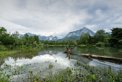 The panoramic view of the small lake of bordano in a summer day, friuli venezia giulia region, italy