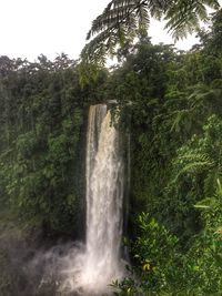 View of waterfall in forest