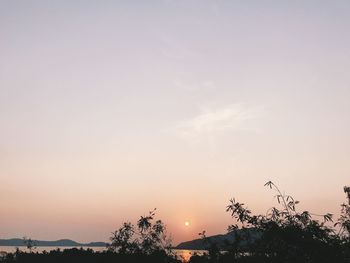 Silhouette trees against sky during sunset