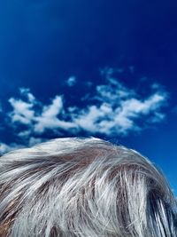 Low angle view of coconut palm tree against blue sky