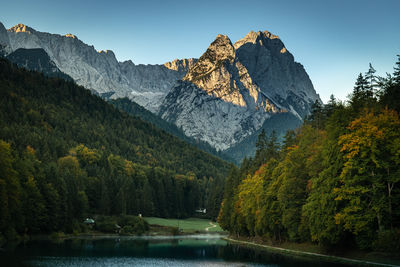 Scenic view of forest against sky