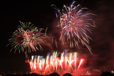 Firework display in sky at night