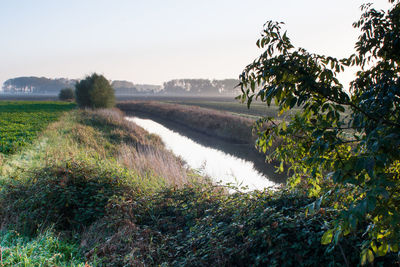 Scenic view of field by lake against clear sky