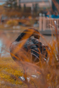 Close-up of fish swimming in sea