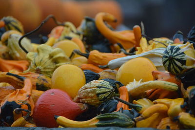 Close-up of pumpkins for sale