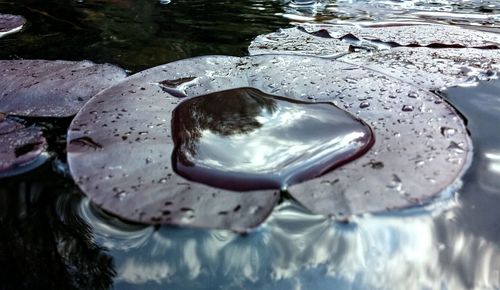 Close-up of water
