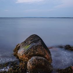 Close-up of rock in sea against sky