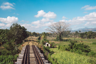 Railroad tracks amidst trees against sky