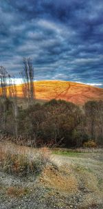 Scenic view of field against sky