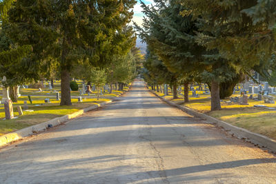 Empty road amidst trees