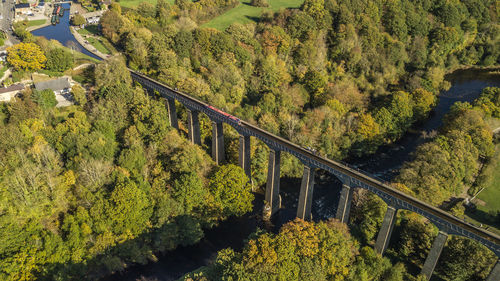 High angle view of footbridge amidst trees in forest