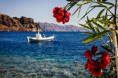 Scenic view of calm sea against sky