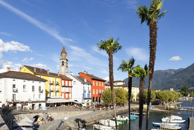 Palm trees and buildings against sky