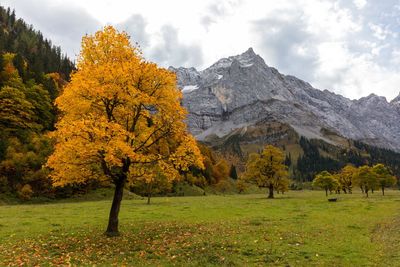 Trees on landscape against sky during autumn