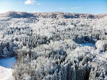 Snow covered land and trees against sky