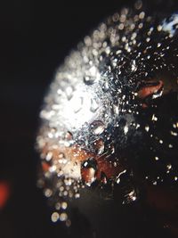 Close-up of water drops on illuminated lights