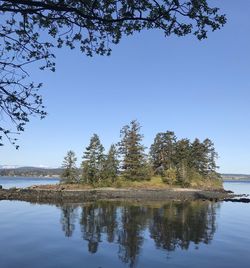 Reflection of trees in lake against clear blue sky