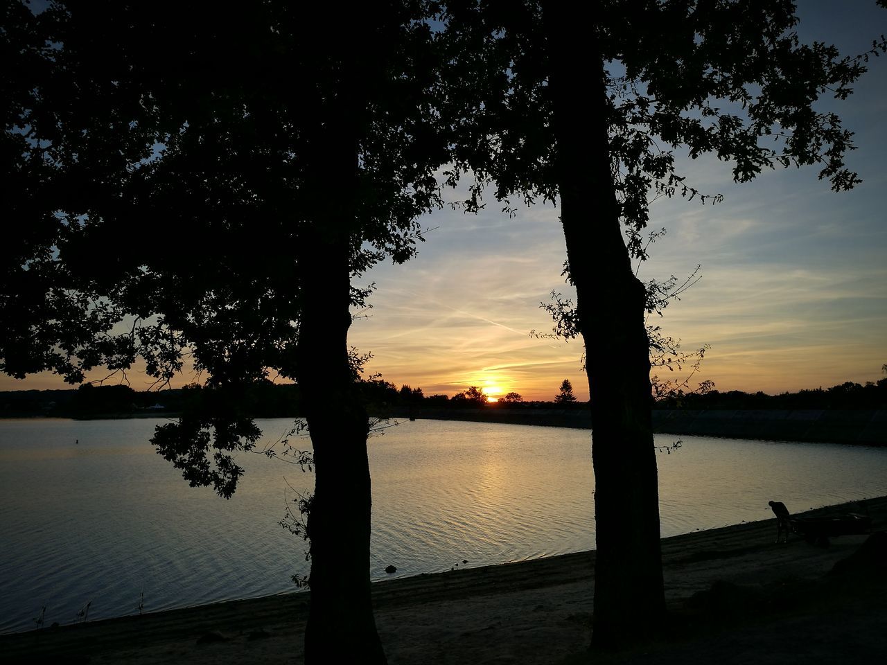 sunset, tree, silhouette, water, lake, tranquil scene, scenics, tranquility, tree trunk, beauty in nature, growth, orange color, nature, sky, branch, lakeshore, glowing, calm, outdoors, riverbank, moody sky, sun, no people, remote, cloud - sky, tourism, lakeside