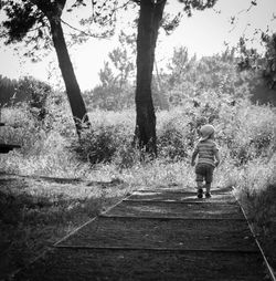 Rear view of people walking on footpath in forest