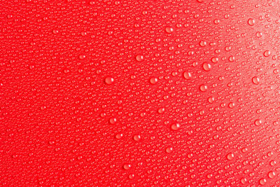 Droplets of water on a red, matte background illuminated with a delicate light.