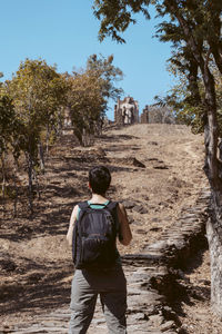 Rear view of man standing by trees against sky