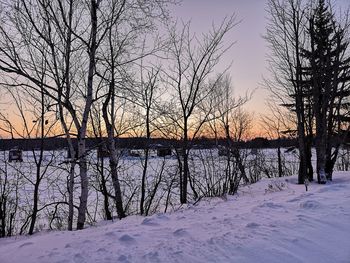 Bare trees by frozen lake against sky during sunset