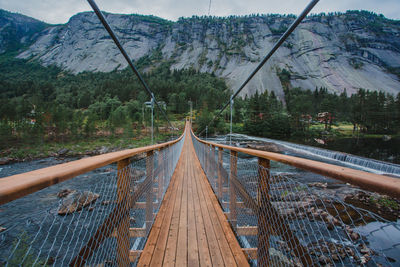 Footbridge amidst trees in forest