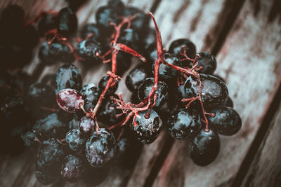 Close-up of berries