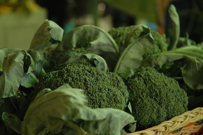 Close-up of green leaves in market