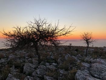 Scenic view of sea against clear sky during sunset