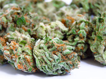 Close-up of fresh vegetables