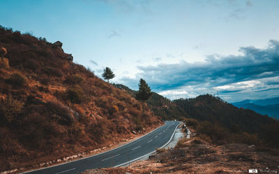 Road amidst trees against sky