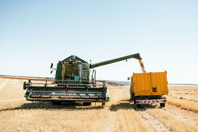 Huge combine harvester collecting and pouring wheat grain in trailer placed on farm in summer