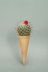 Close-up of ice cream against white background