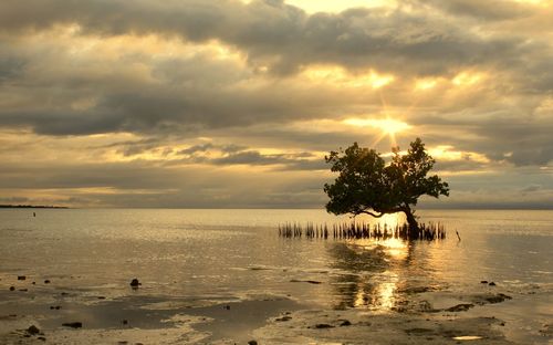 Scenic view of sea against sky at sunset