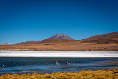 Scenic view of mountains against clear blue sky