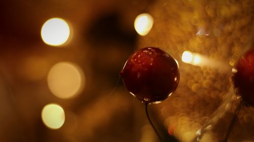 Close-up of illuminated christmas lights