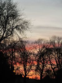 Silhouette trees against sky during sunset