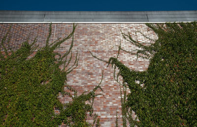 High angle view of stone wall