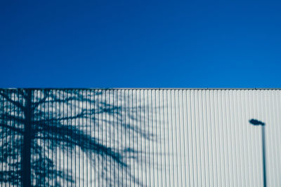 Shadow of tree and street light corrugated wall against clear blue sky
