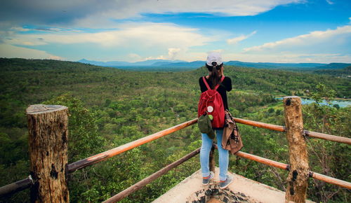 Rear view of woman looking at forest from observation point