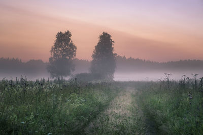 Scenic view of landscape against sky during sunset