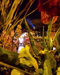 Illuminated lights in city at night